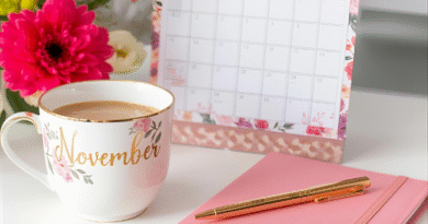 planejamento de novembro